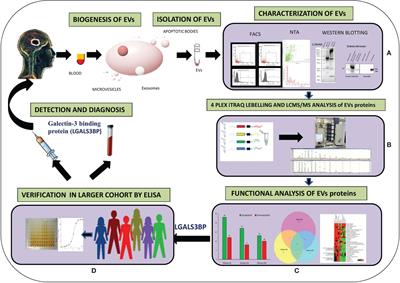 Plasma-Derived Extracellular Vesicles Reveal Galectin-3 Binding Protein as Potential Biomarker for Early Detection of Glioma